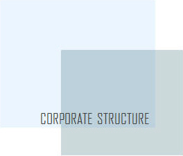 Corporate Structure
